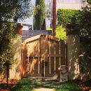 InstagramTroian-002050.jpg