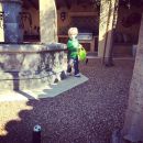 InstagramTroian-002052.jpg