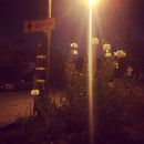 InstagramTroian-002093.jpg