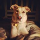 InstagramTroian-002114.jpg