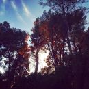 InstagramTroian-002120.jpg