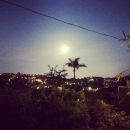 InstagramTroian-002126.jpg