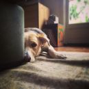 InstagramTroian-002129.jpg