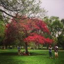 InstagramTroian-002133.jpg