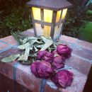 InstagramTroian-002140.jpg