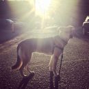 InstagramTroian-002141.jpg