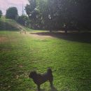 InstagramTroian-002167.jpg