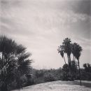 InstagramTroian-002189.jpg