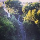 InstagramTroian-002199.jpg
