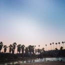 InstagramTroian-002232.jpg