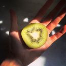 InstagramTroian-002270.jpg