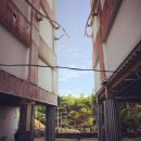 InstagramTroian-002610.jpg