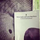 InstagramTroian-002620.jpg