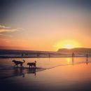 InstagramTroian-002705.jpg