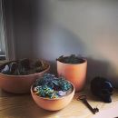 InstagramTroian-002805.jpg