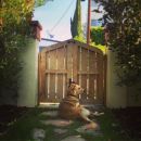 InstagramTroian-002806.jpg