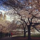 InstagramTroian-002814.jpg