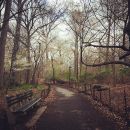 InstagramTroian-002815.jpg