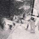 InstagramTroian-003118.jpg