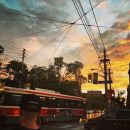 InstagramTroian-003131.jpg