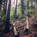 InstagramTroian-003265.jpg