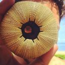 InstagramTroian-003303.jpg