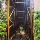InstagramTroian-003315.jpg