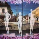 InstagramTroian-003446.jpg
