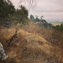InstagramTroian-003574.jpg