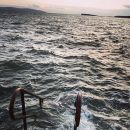 InstagramTroian-003724.jpg