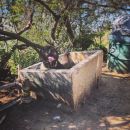 InstagramTroian-003798.jpg