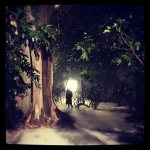 InstagramTroian-00463.jpg