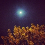 InstagramTroian-00483.jpg