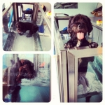 InstagramTroian-00488.jpg