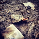 InstagramTroian-00520.jpg