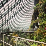 InstagramTroian-00590.jpg