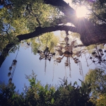 InstagramTroian-00724.jpg