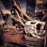 InstagramTroian-00743.jpg
