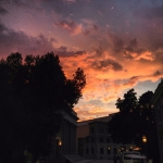 InstagramTroian-00746.jpg