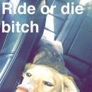 snapchatroian-0015.jpg