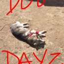 Filename=snapchatroian-0036.jpg
Filesize=190KiB
Dimensions=540x960
Date added=Aug 08, 2016 snapchatroian-0036.jpg