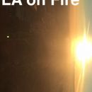 snapchatroian-0070.jpg