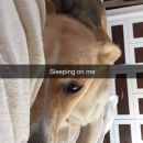 snapchatroian-0117.jpg