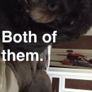 snapchatroian-0118.jpg