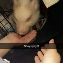 snapchatroian-0230.jpg