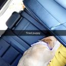 snapchatroian-0273.jpg