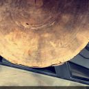 snapchatroian-0359.jpg