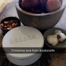 snapchatroian-0363.jpg