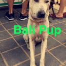snapchatroian-0382.jpg