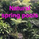 snapchatroian-0387.jpg